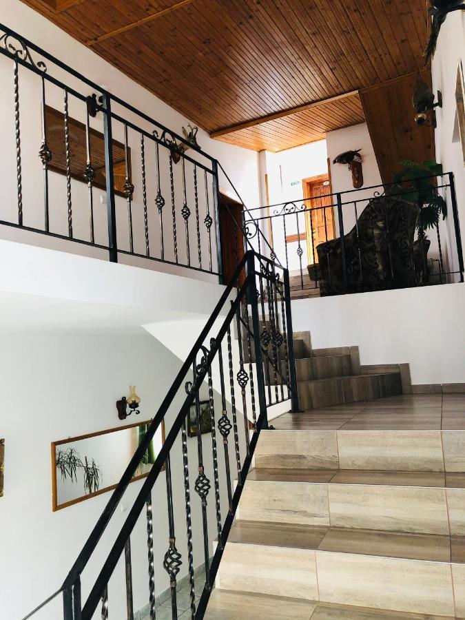 Hotel Poenita Сигишоара Экстерьер фото