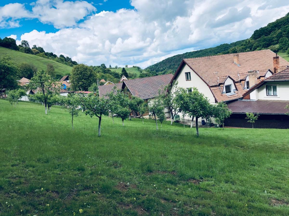Hotel Poenita Сигишоара Экстерьер фото